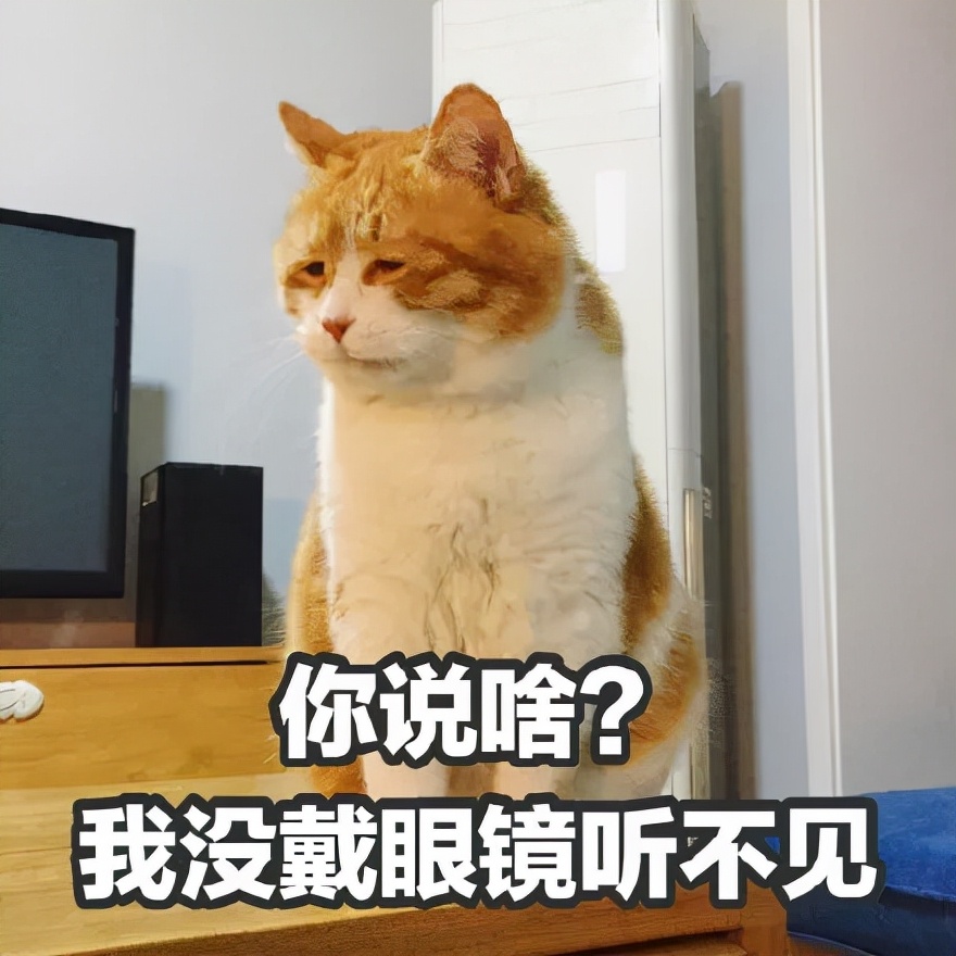 我们爱猫，但我们并不极端