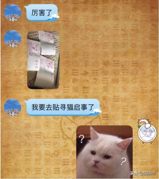 猫弓形虫吃什么驱虫药(猫弓形虫如何传染给人)