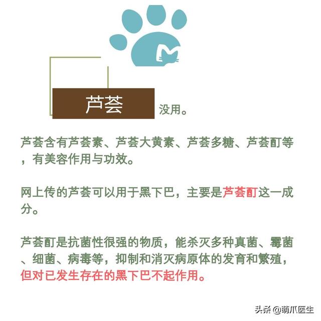 猫毛囊炎怎么治疗(猫毛囊炎怎么引起的)