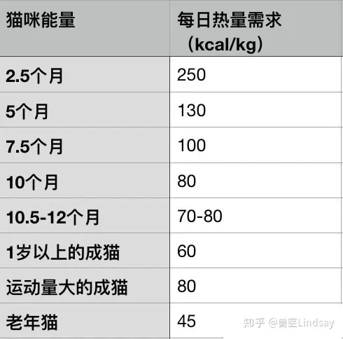 猫咪体重年龄对照表(英短猫咪体重年龄对照表)