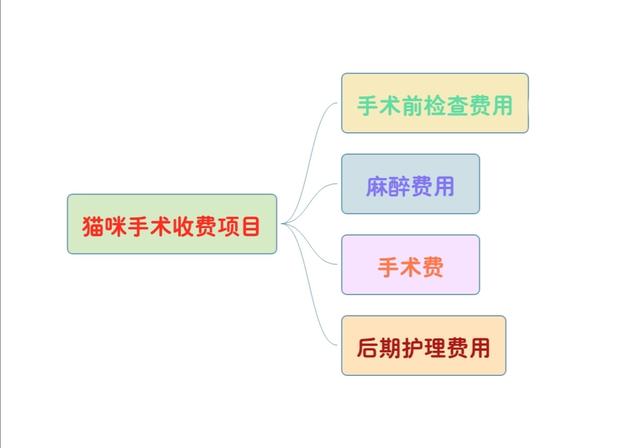 公猫做绝育多少钱(上海公猫做绝育多少钱)