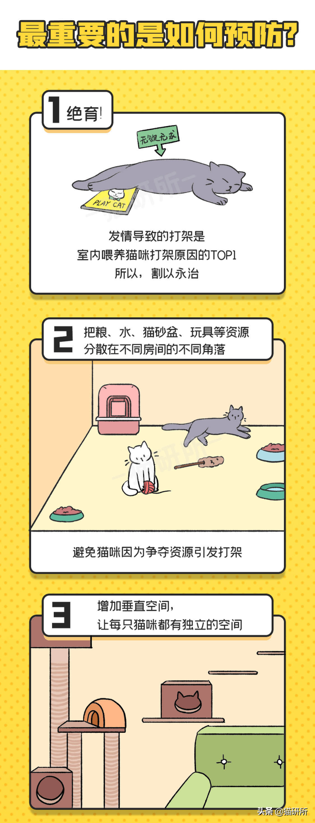 猫哈人怎么教育(猫咪哈人怎么教育)