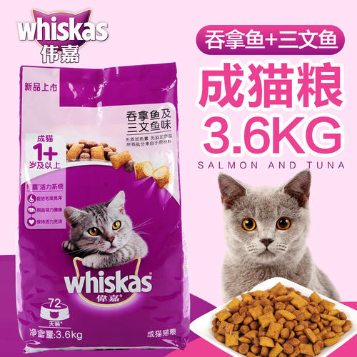 小猫除了猫粮还能吃什么主食 小猫养多久才认主人