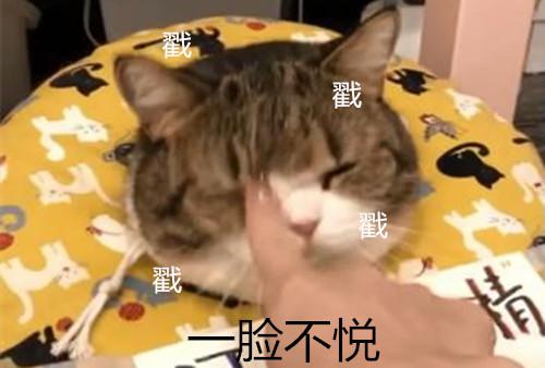 猫尿床是因为什么原因引起的(猫尿床是怎么回事)