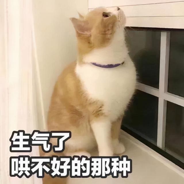 被猫咬了发病的前兆图片(被猫咬了发病的前兆)