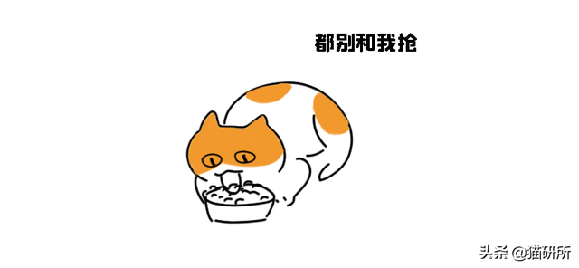 猫放屁正常吗(猫放屁是怎么回事)