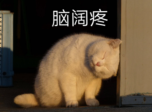 猫咪咕噜咕噜的舔人是怎么回事(猫咪舔人还咕噜咕噜)