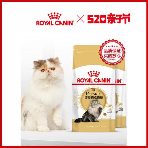 猫一闻猫粮就扒拉地板 猫的道歉方式