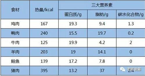 猫可以吃猪肉吗(2个月的猫可以吃猪肉吗)