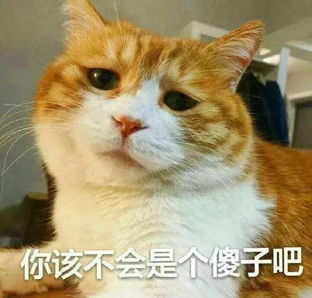 猫打喷嚏会传染给人吗(猫打喷嚏是什么原因)