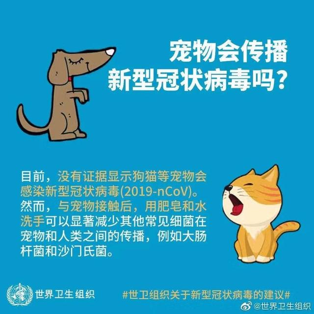 猫冠状病毒会自愈吗(猫得了冠状病毒有救吗)