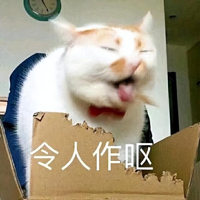 小猫表情包(小猫表情包沙雕)