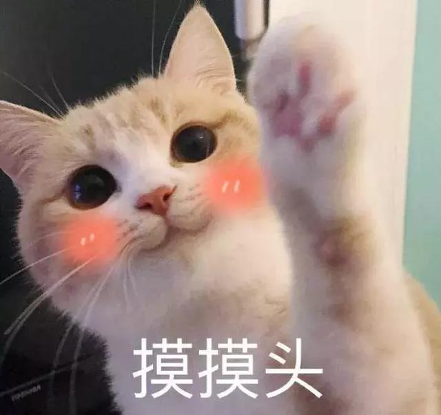 猫砂是什么垃圾(猫砂是什么垃圾分类)