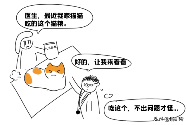 猫放屁正常吗(猫放屁是怎么回事)