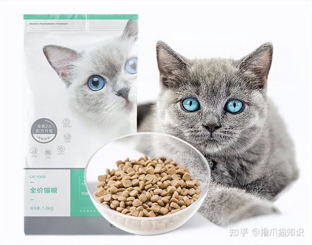 豆柴猫粮怎么样(豆柴猫粮属于什么档次的)