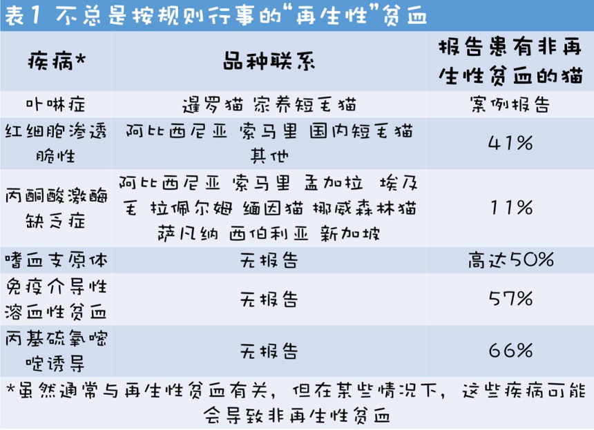 猫咪非再生性贫血的诊断和治疗建议