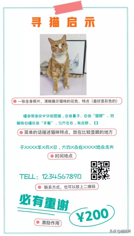 猫弓形虫吃什么驱虫药(猫弓形虫如何传染给人)