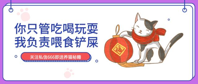 猫咪发情怎么缓解(家里猫咪发情了怎么办)