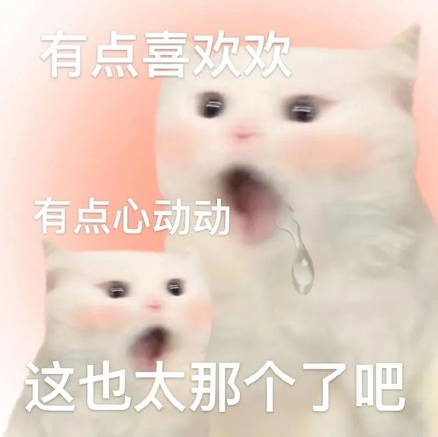 两只公猫可以一起养吗(养猫可以养两只公猫吗)