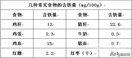 猫贫血是什么原因(猫贫血吃什么补血最快)