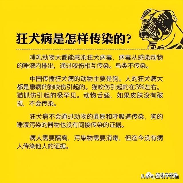 被猫抓伤得狂犬病的几率(被猫抓伤得狂犬病的几率有多大)