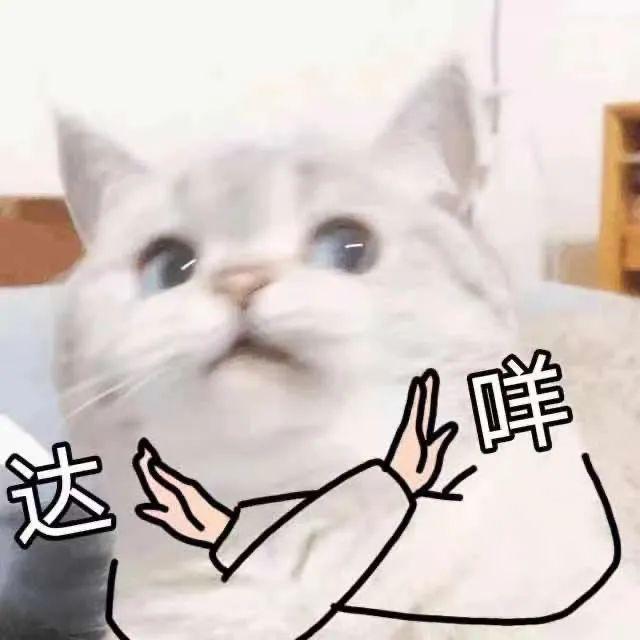 猫咪可以吃奶油吗(猫咪不能吃奶油吗)