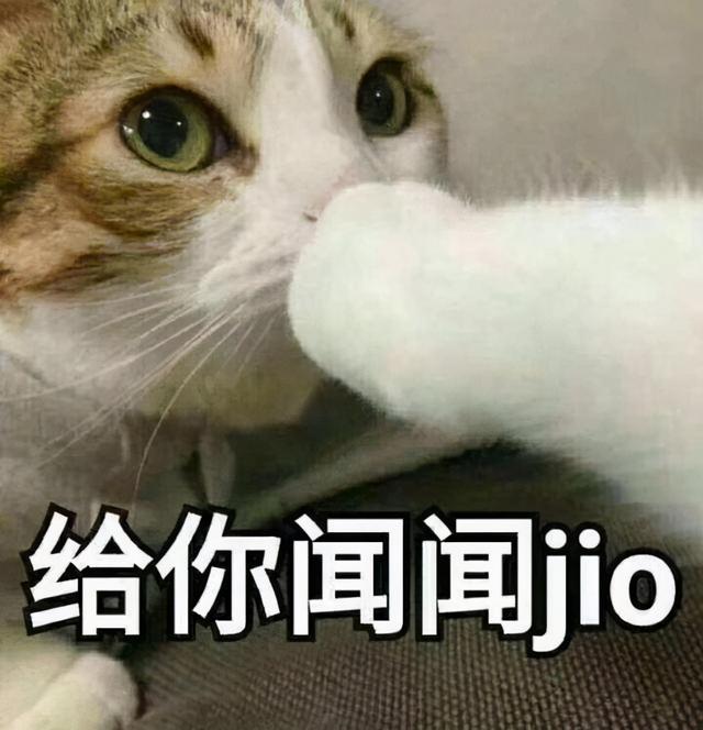 猫舔爪子不会吃细菌么(猫舔爪子会不会有细菌)