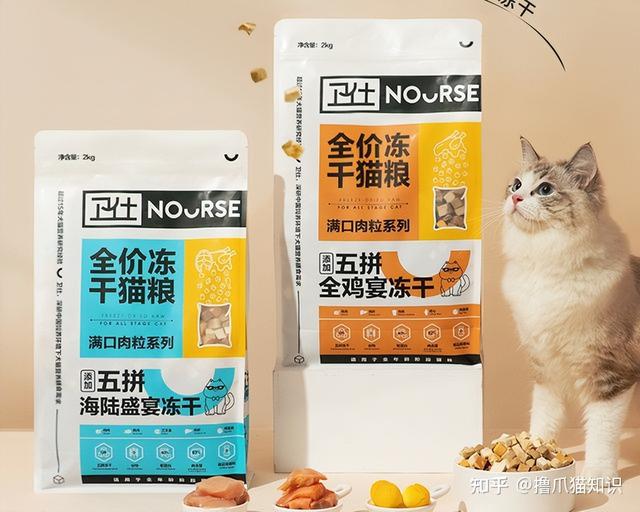 豆柴猫粮怎么样(豆柴猫粮属于什么档次的)