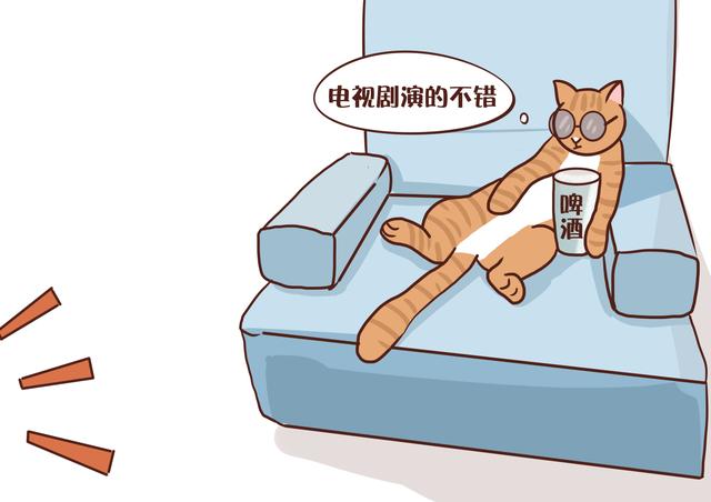 多大算成猫(猫咪多大算成猫)