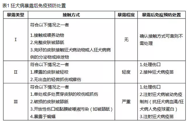 被猫抓伤多少天过危险期(被猫咬伤多久过危险期)