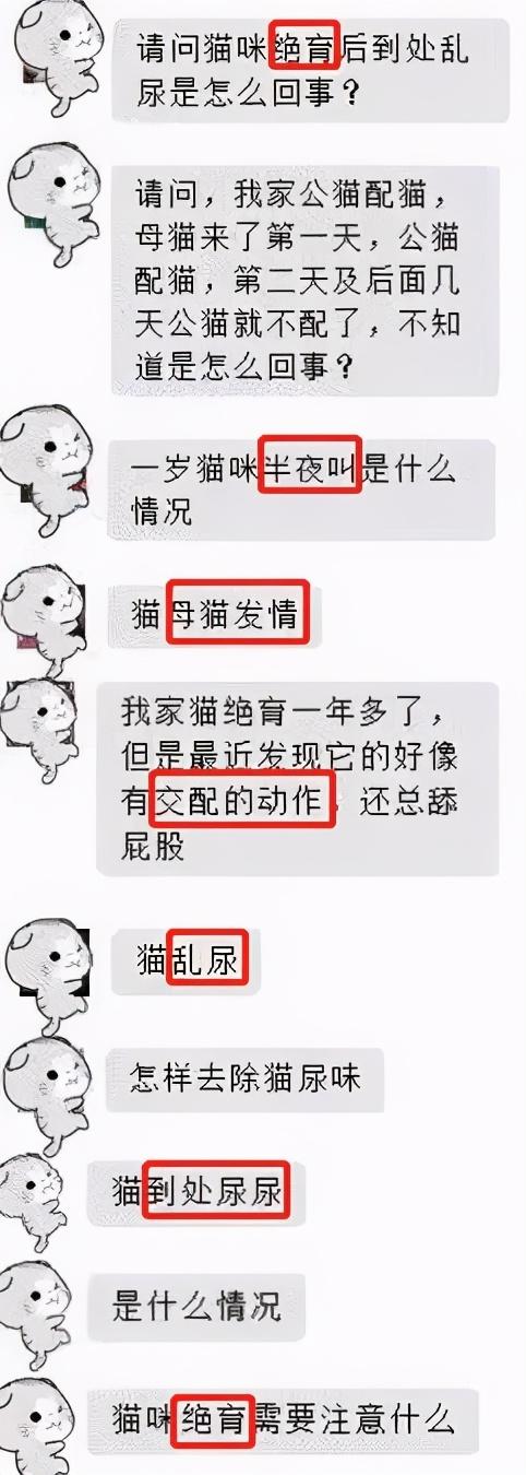 猫发春是什么样的(猫发春几月份)