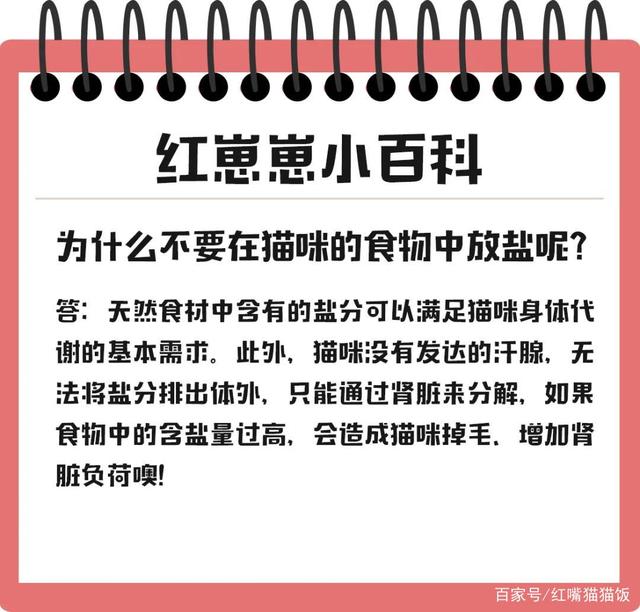 红嘴猫自制猫饭食谱丨让主子尽情品尝三文鱼猫饭的好味道吧~