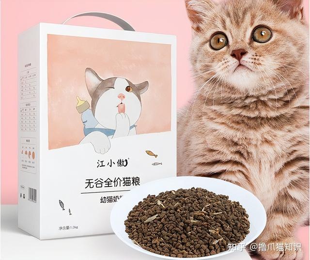 豆柴猫粮怎么样(豆柴猫粮属于什么档次的)