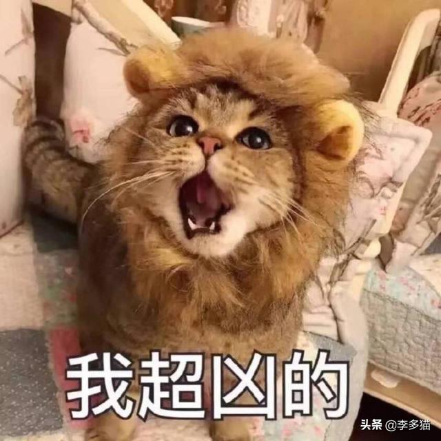 猫咪体内驱虫(猫咪体内驱虫注意事项)