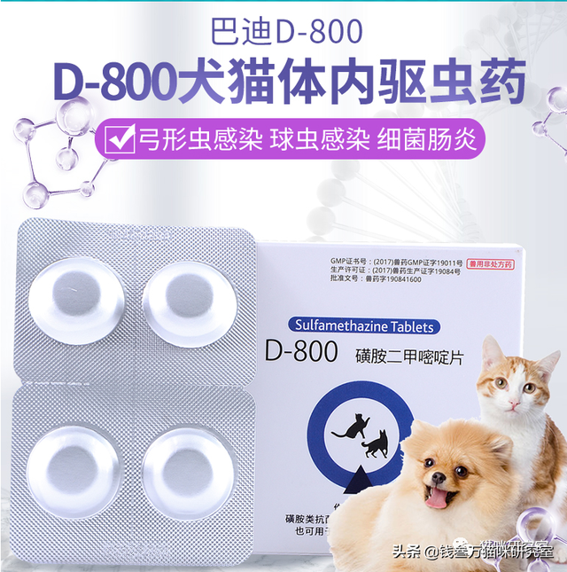 猫球虫用什么药最好(猫球虫用什么药治疗)