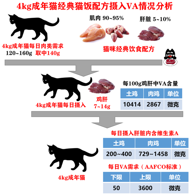 猫能吃鸡肝吗(猫可以常吃鸡肝吗)