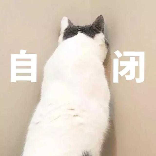 猫咪眼睛发炎会自愈吗(猫咪眼睛炎症会自己好吗)