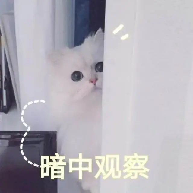 猫的应激反应(猫的应激反应怎样缓解)