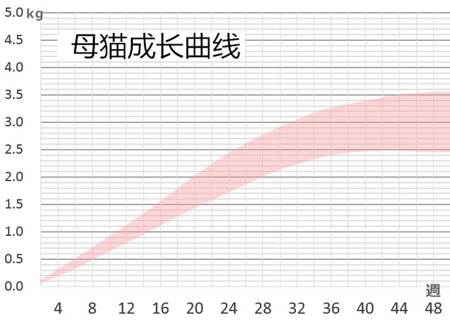 繁育干货：新生小猫各个阶段的饲养和生长变化