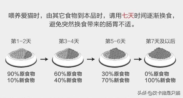 猫咪吐黄水能自己好吗(猫咪吐黄水自己会好吗)