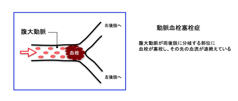 猫咪后腿无力走路不稳(猫咪后腿无力走路不稳是什么原因)