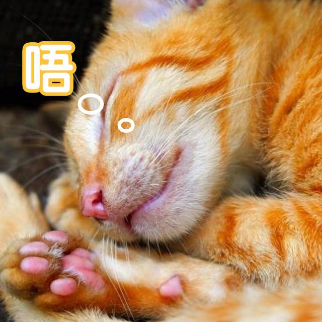 猫睡觉的时候抽搐(猫睡觉的时候抽搐翻白眼)