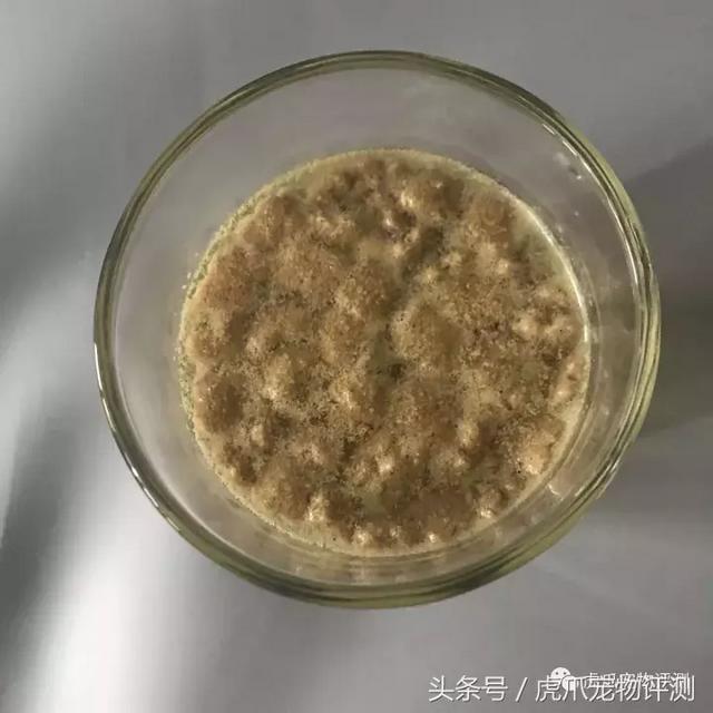 皇家猫粮油腻吗(皇家猫粮很油吗)