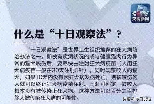 家猫咬伤要不要打狂犬疫苗(被自家猫咬伤要不要打狂犬疫苗)