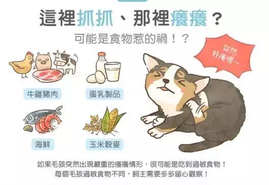 对猫过敏有什么症状(小孩对猫过敏有什么症状)