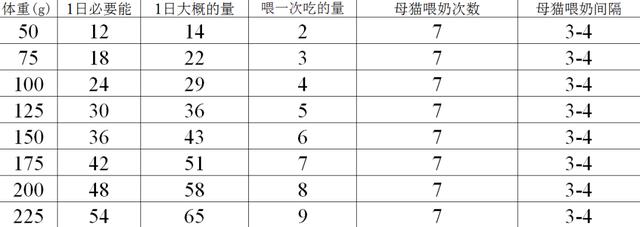 繁育干货：新生小猫各个阶段的饲养和生长变化