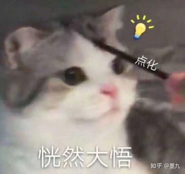 猫咪脱了一撮毛但无癣(猫咪脱了一撮毛但无癣用什么药)