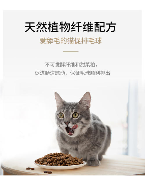 怎么诱导小猫吃猫粮 2个月的幼猫不吃猫粮