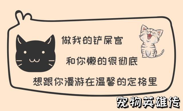 宠主没有这五种条件，就不要去养波斯猫，否则就是害了它