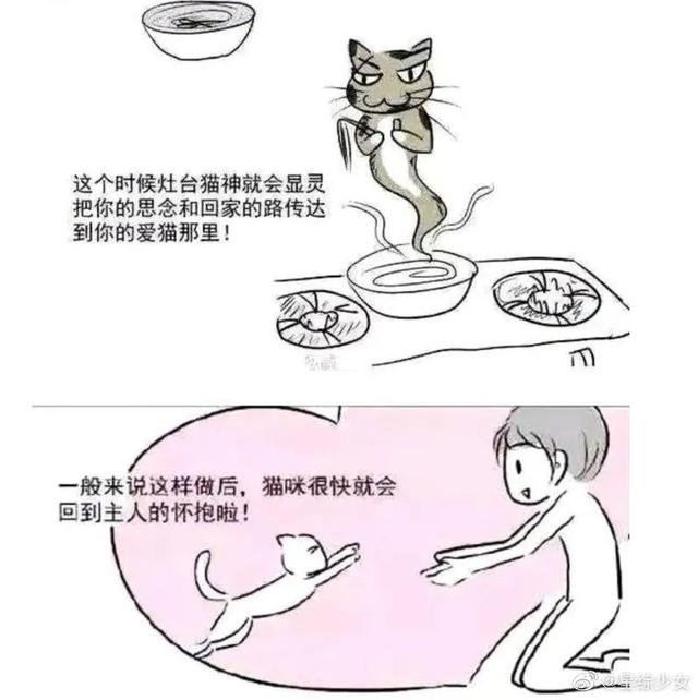 猫丢了怎样把猫引出来(猫丢了找回来的巧方法)